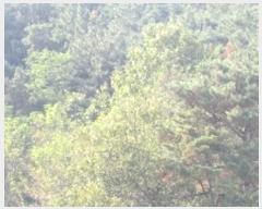  2024Ÿ12601 泲 â籺 輺 踮 510      (1)