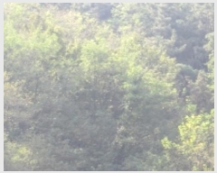  2024Ÿ12601 泲 â籺 輺 踮 510      (1)