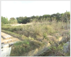  2024Ÿ12694 泲 â籺 ո ̹渮 979-5      ()