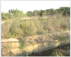  2024Ÿ12694 泲 â籺 ո ̹渮 979-5      ()