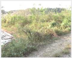  2024Ÿ12694 泲 â籺 ո ̹渮 979-5      ()