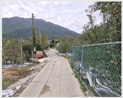  2024Ÿ��12786  �����