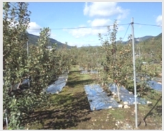  2024Ÿ��12786  �����