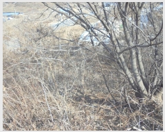  2024Ÿ��12816  �Ӿ߰��