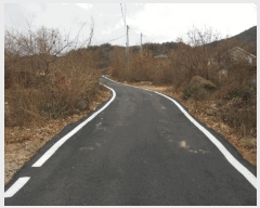  2024Ÿ��12816  �Ӿ߰��