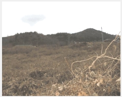  2024Ÿ��12816  �Ӿ߰��