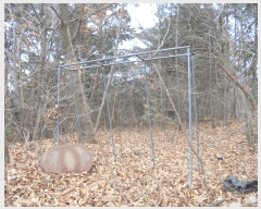  2024Ÿ��12816  �Ӿ߰��