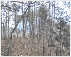  2024Ÿ��12816  �Ӿ߰��