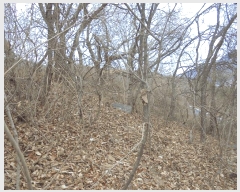  2024Ÿ��12816  �Ӿ߰��