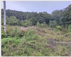  2024Ÿ��12878  �����