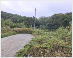  2024Ÿ��12878  �����