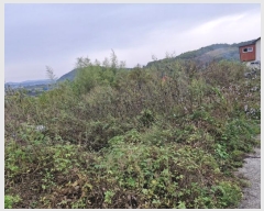  2024Ÿ��12878  �����