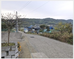  2024Ÿ��12878  �����