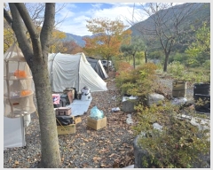  2024Ÿ12939 泲 о û  1405-2      ()