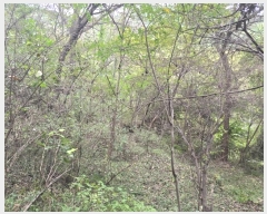  2024Ÿ12939 泲 о û  1405-2      ()