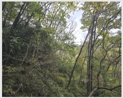  2024Ÿ12939 泲 о û  1405-2      ()