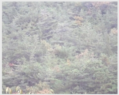  2024Ÿ12939 泲 о û  1405-2      ()