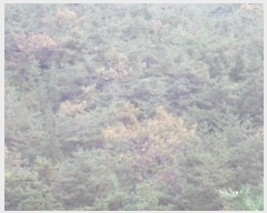  2024Ÿ12939 泲 о û  1405-2      ()