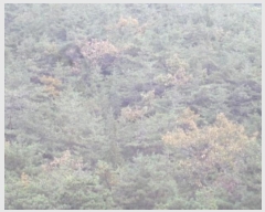  2024Ÿ12939 泲 о û  1405-2      ()