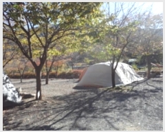  2024Ÿ12939 泲 о û  1405-2      ()