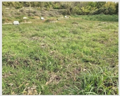  2024Ÿ��13055 �泲 â�籺 â���� ���긮 459      ����(��1)���