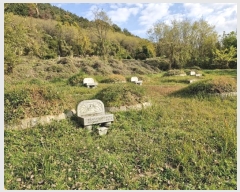  2024Ÿ��13055 �泲 â�籺 â���� ���긮 459      ����(��1)���