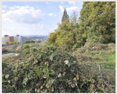  2024Ÿ��13055 �泲 â�籺 â���� ���긮 459      ����(��1)���