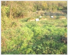  2024Ÿ��13055 �泲 â�籺 â���� ���긮 459      ����(��1)���