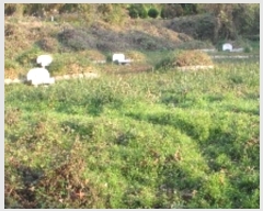  2024Ÿ��13055 �泲 â�籺 â���� ���긮 459      ����(��1)���