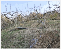  2024Ÿ13086 泲 о ʵ  310-2      (1)