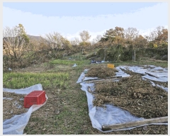  2024Ÿ13086 泲 о ʵ  310-2      (1)