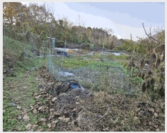  2024Ÿ13086 泲 о ʵ  310-2      (1)