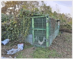  2024Ÿ13086 泲 о ʵ  310-2      (1)