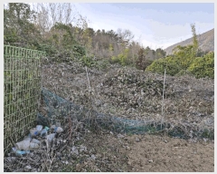  2024Ÿ13086 泲 о ʵ  310-2      (1)