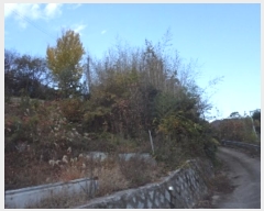  2024Ÿ13086 泲 о ʵ  310-2      (1)