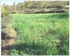  2024Ÿ��13116 �泲 â�籺 ����� ��õ�� 482      ����(��1)���