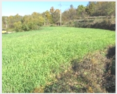  2024Ÿ��13116 �泲 â�籺 ����� ��õ�� 482      ����(��1)���