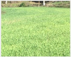  2024Ÿ��13116 �泲 â�籺 ����� ��õ�� 482      ����(��1)���