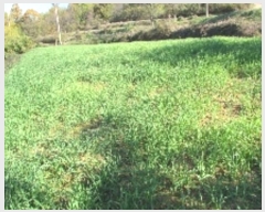  2024Ÿ��13116 �泲 â�籺 ����� ��õ�� 482      ����(��1)���