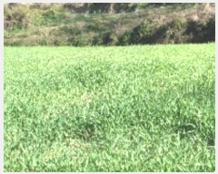  2024Ÿ��13116 �泲 â�籺 ����� ��õ�� 482      ����(��1)���