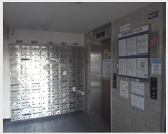  2024Ÿ��13178  ����Ʈ���