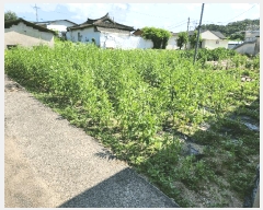  2024Ÿ��13369  �����