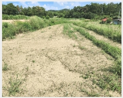  2024Ÿ��13369  �����