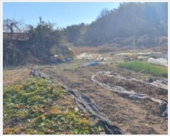  2024Ÿ13390 泲 â籺  õ 720      ()