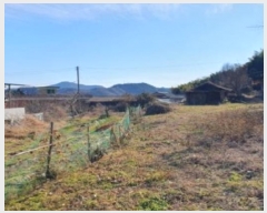  2024Ÿ13390 泲 â籺  õ 720      ()