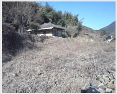  2024Ÿ13390 泲 â籺  õ 720      ()