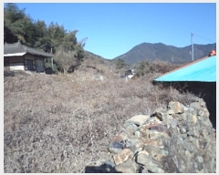  2024Ÿ13390 泲 â籺  õ 720      ()