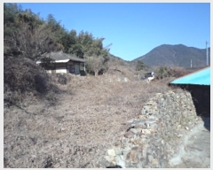  2024Ÿ13390 泲 â籺  õ 720      ()