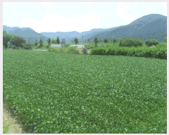  2024Ÿ��13482 �泲 �о�� ��ܸ� ��õ�� 652-2      ����(��)���