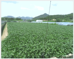  2024Ÿ��13482 �泲 �о�� ��ܸ� ��õ�� 652-2      ����(��)���